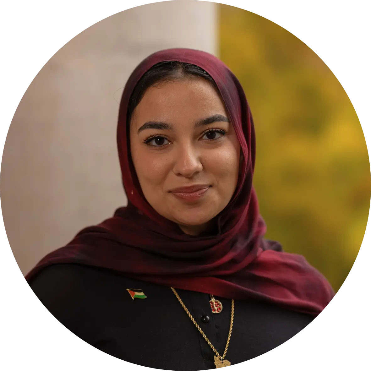 Mahya Shakibnia-Shirazi